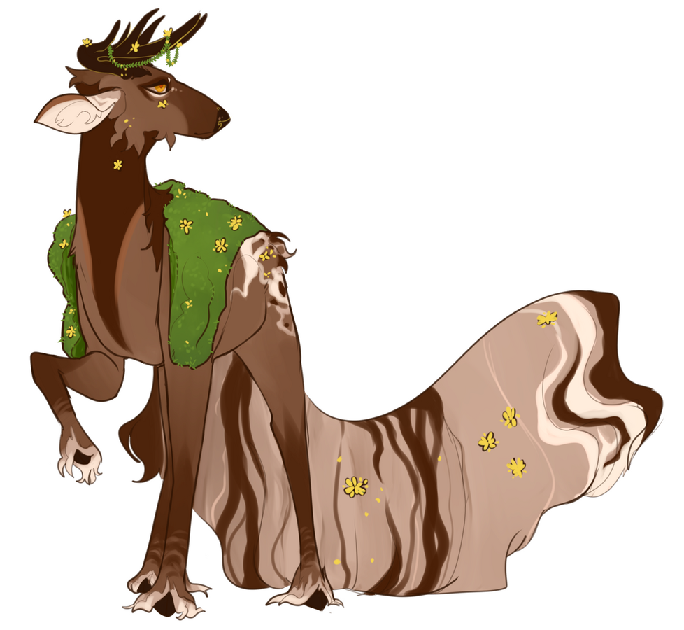 Sinnara Raffle Jan 2026